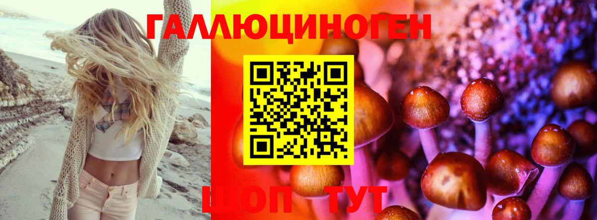 Псилоцибиновые грибы Cubensis Родники